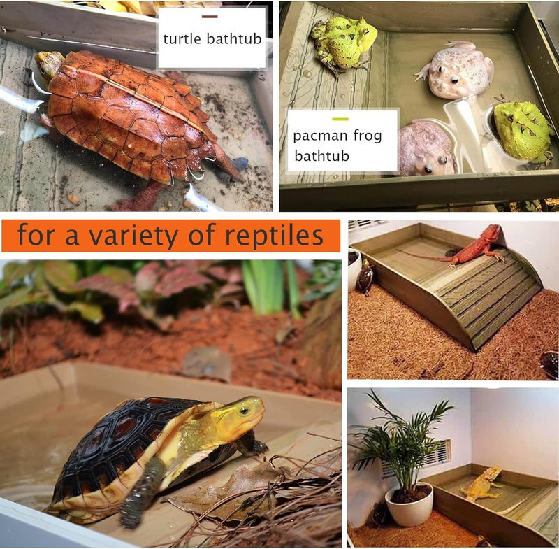 XDONEF 3pcs Tortoise Food Dish with Ramp and Basking Platform Leaf Tortoise Water Food Bowls Reptile Water Dish Turtle Reptile Pool for Amphibians Brown - Image 2